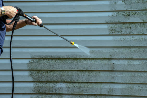 Best Patio and Deck Pressure Washing  in Camanche, IA