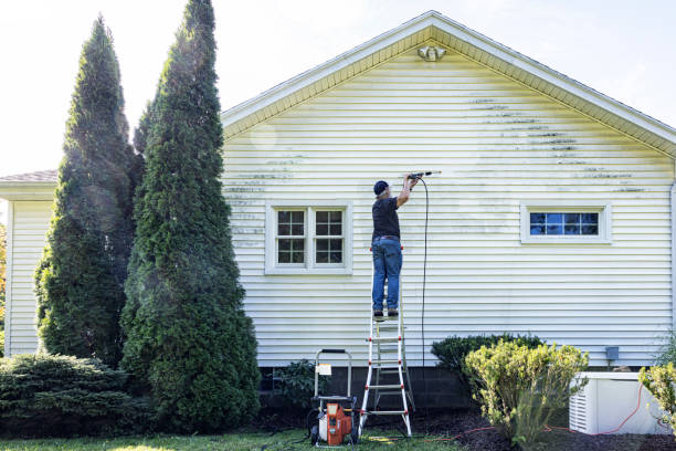 Best Fence Cleaning  in Camanche, IA