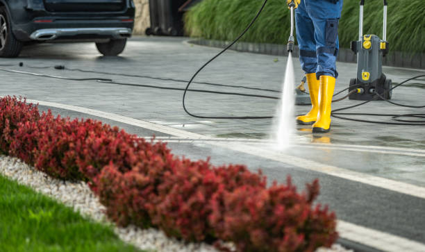 Best Roof Washing  in Camanche, IA
